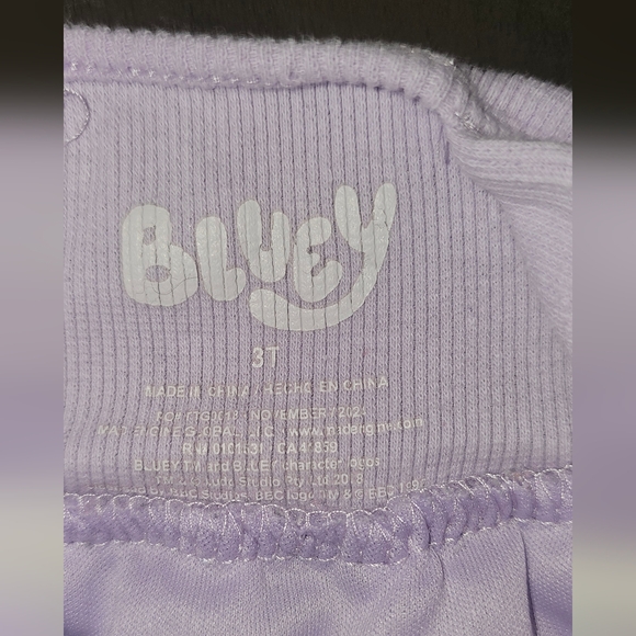Bluey Purple Tulle Dress Size 3T - Picture 3 of 5